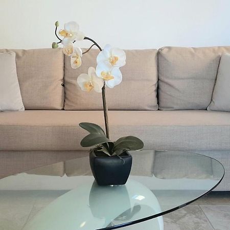 Helle Ferienwohnung mit Privatpool und gemütlicher Grillecke Ližnjan Exterior foto
